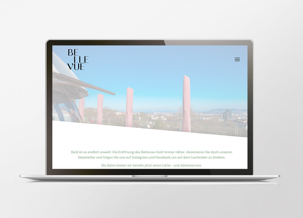 Portfolio Bellevue