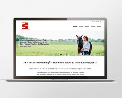 Portfolio coachingpunktet