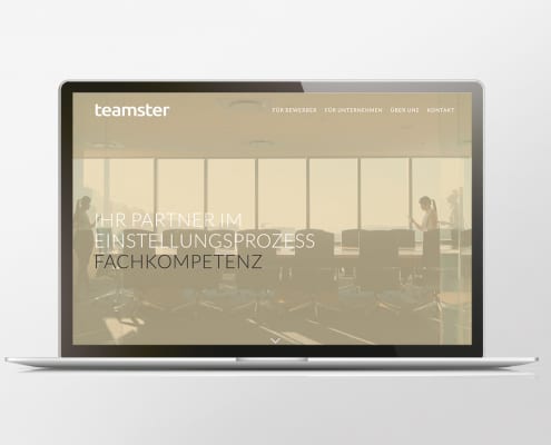 Portfolio teamster