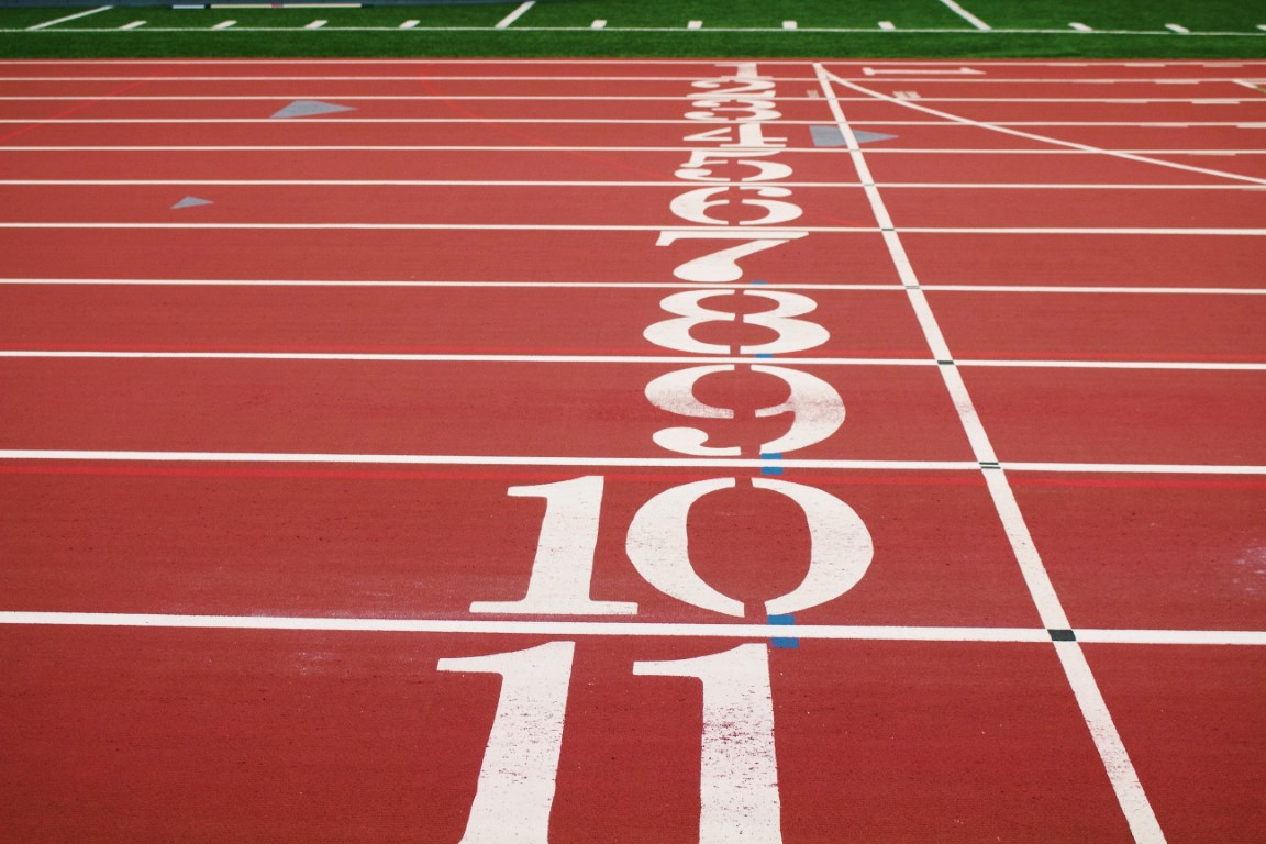 SEO Rankings